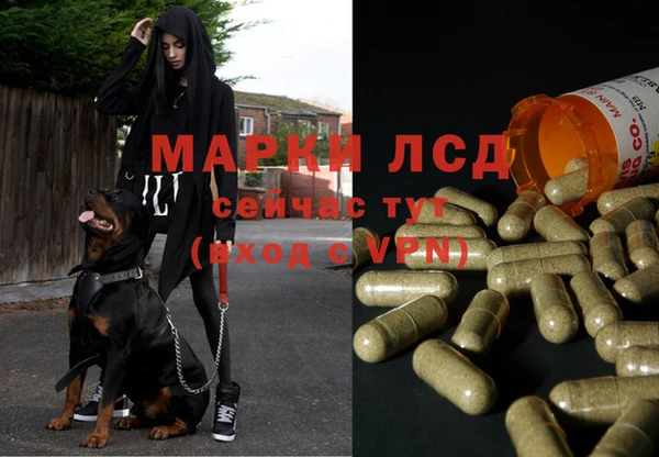 каннабис Алексеевка