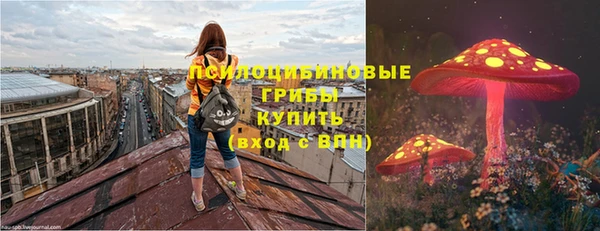 PSILOCYBIN Алзамай