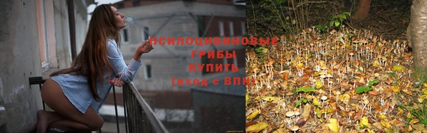 каннабис Алексеевка