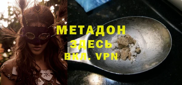 шишки Арсеньев