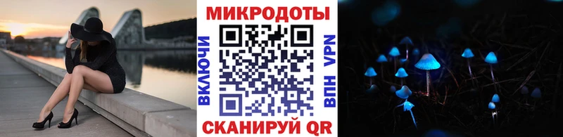 Псилоцибиновые грибы Psilocybe  Павловский Посад 